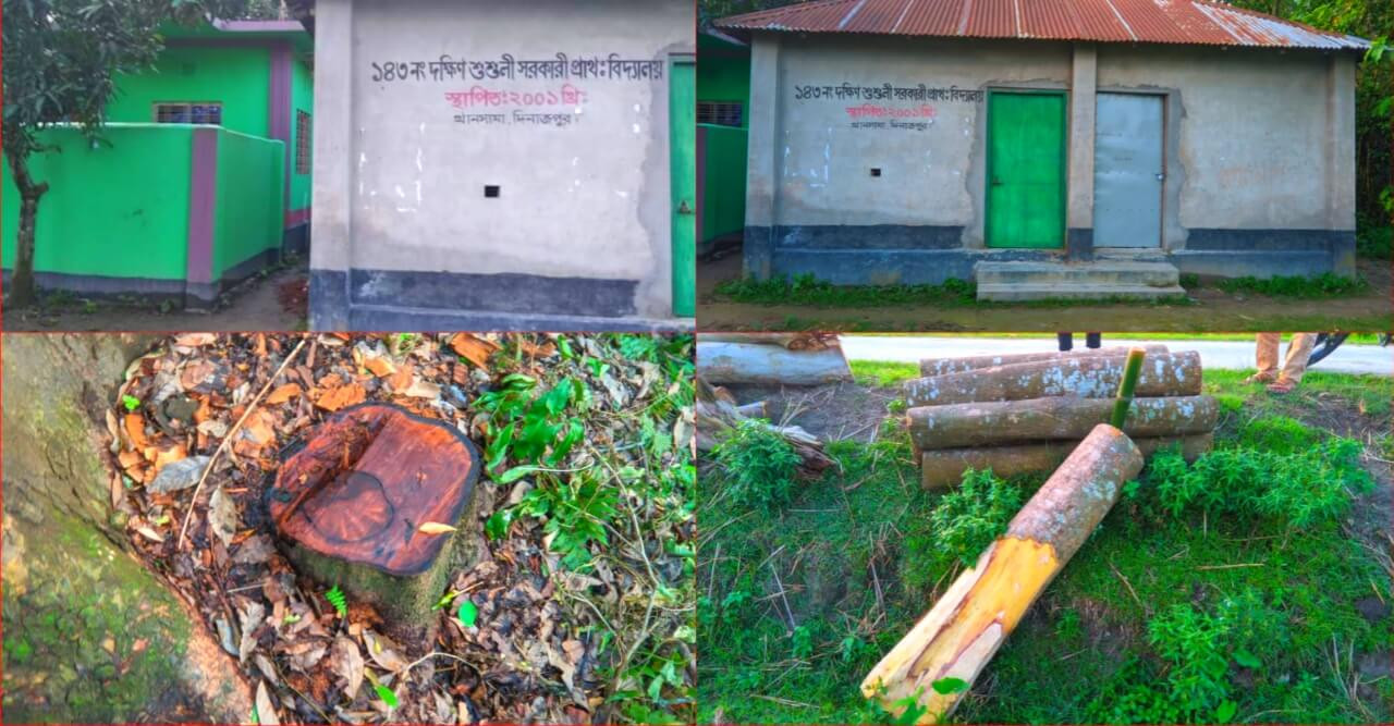 শিক্ষকের বিরুদ্ধে বিদ্যালয়ের গাছ কেটে ফ্লাট নির্মাণের অভিযোগ