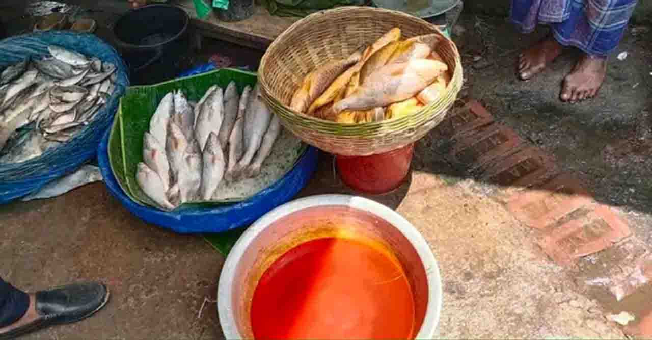 মাছে ক্ষতিকর রং ব্যাবহারে ব্যবসায়ীকে জরিমানা