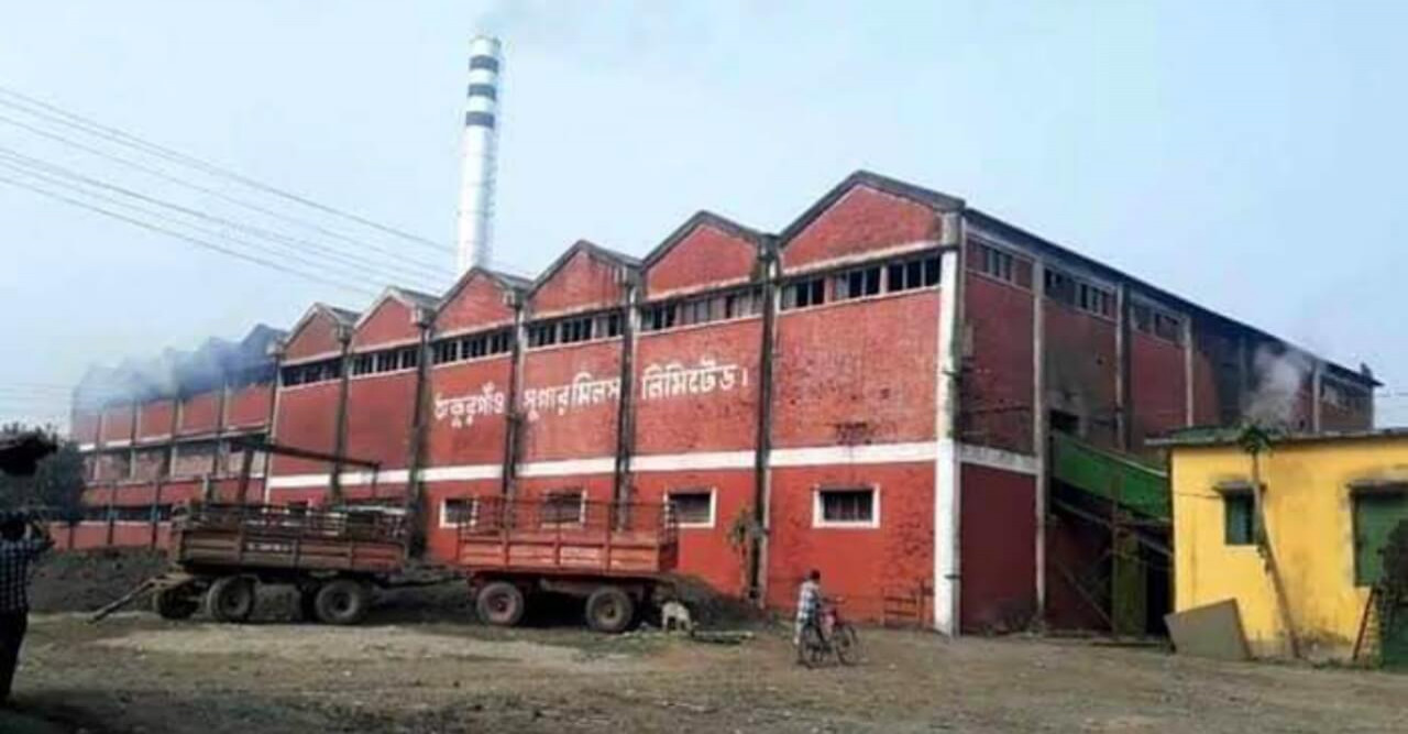 ঠাকুরগাঁও চিনিকলে আখ মাড়াই বন্ধ, বিপাকে চাষিরা!