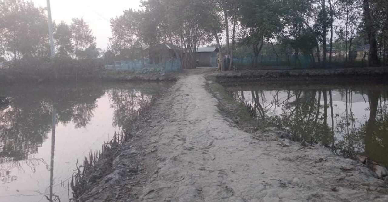 পুকুর গিলে খাচ্ছে পূর্ব কৈখালী -পশ্চিম কৈখালী, চলাচলের একমাত্র মাটির রাস্তা