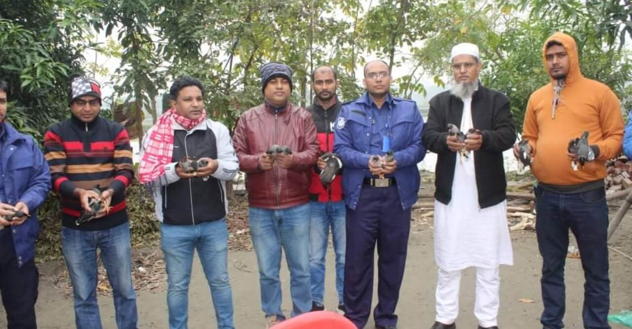 মোল্লাহাটে ৭ শতাধিক শালিক পাখি ফিরে পেল নতুন জীবন