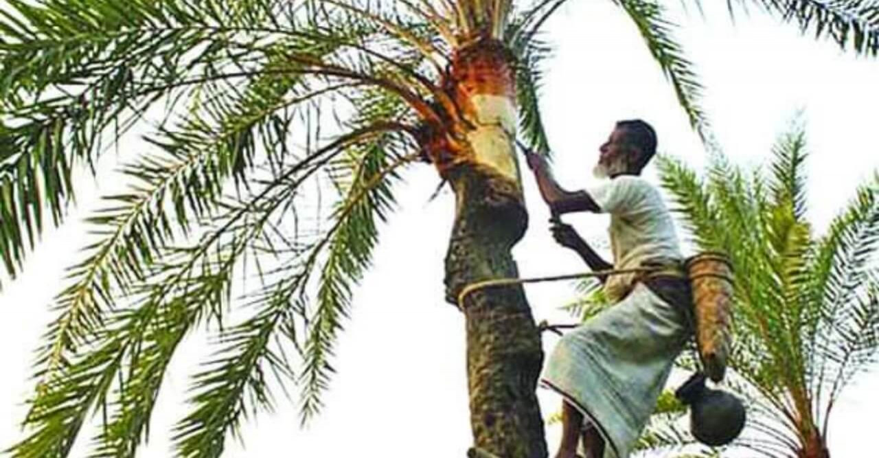 বিলুপ্তির পথে উপকূলীয় অঞ্চলের খেজুর রস