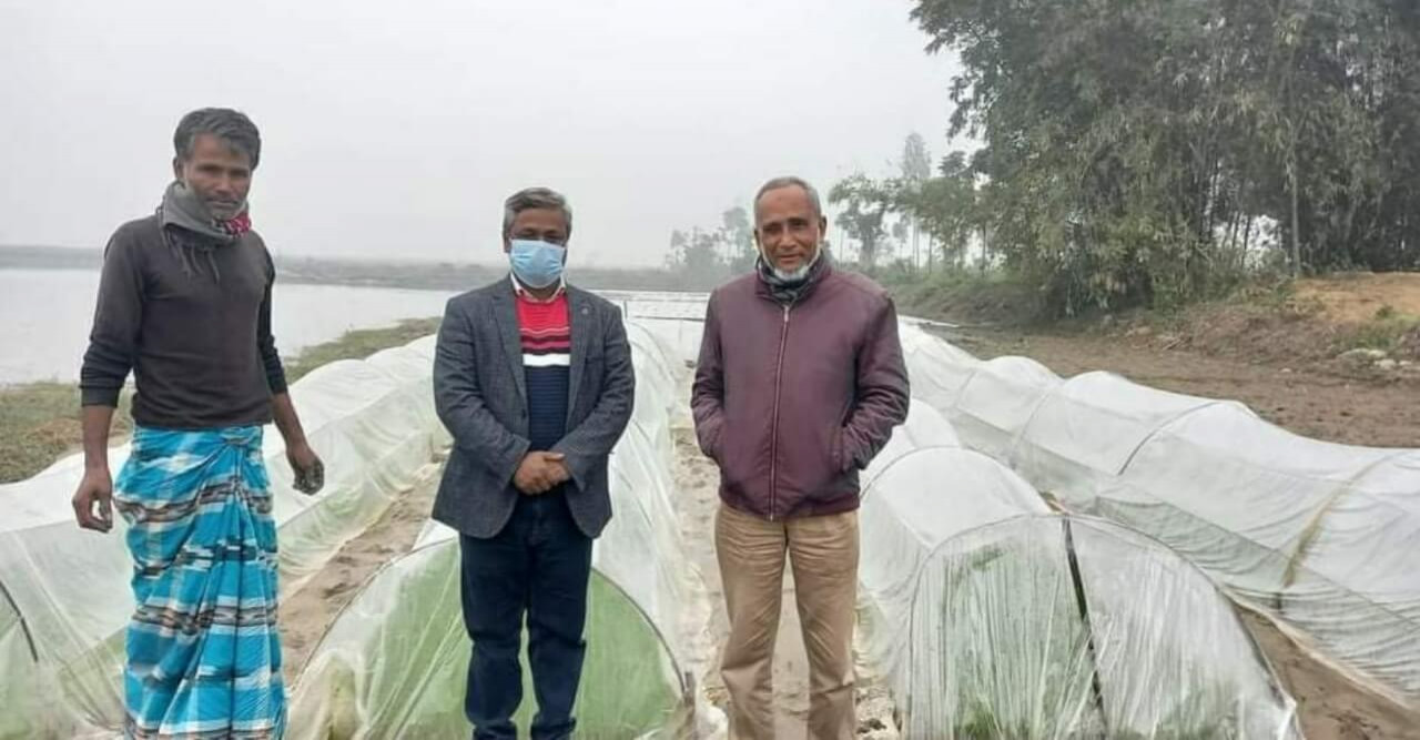 শীতে বোরোর বীজতলা রক্ষায় কৃষকদের পরামর্শ