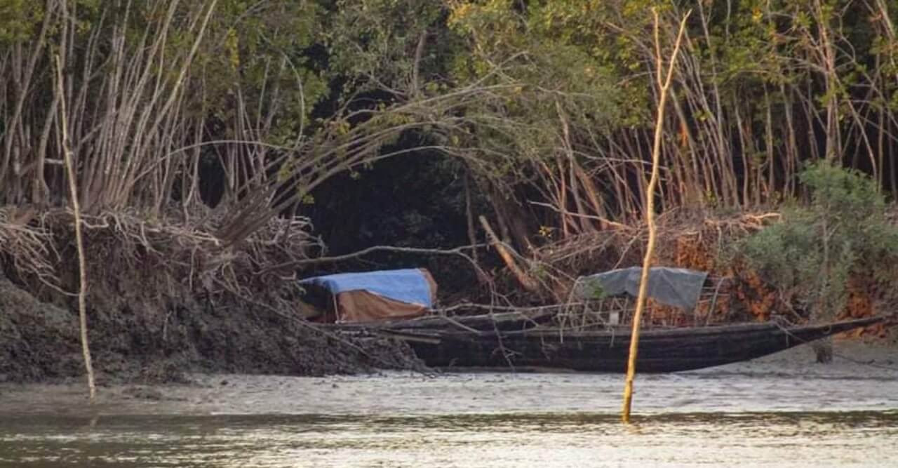 সুন্দরবনে হুমকির মুখে মৎস্য ভাণ্ডার