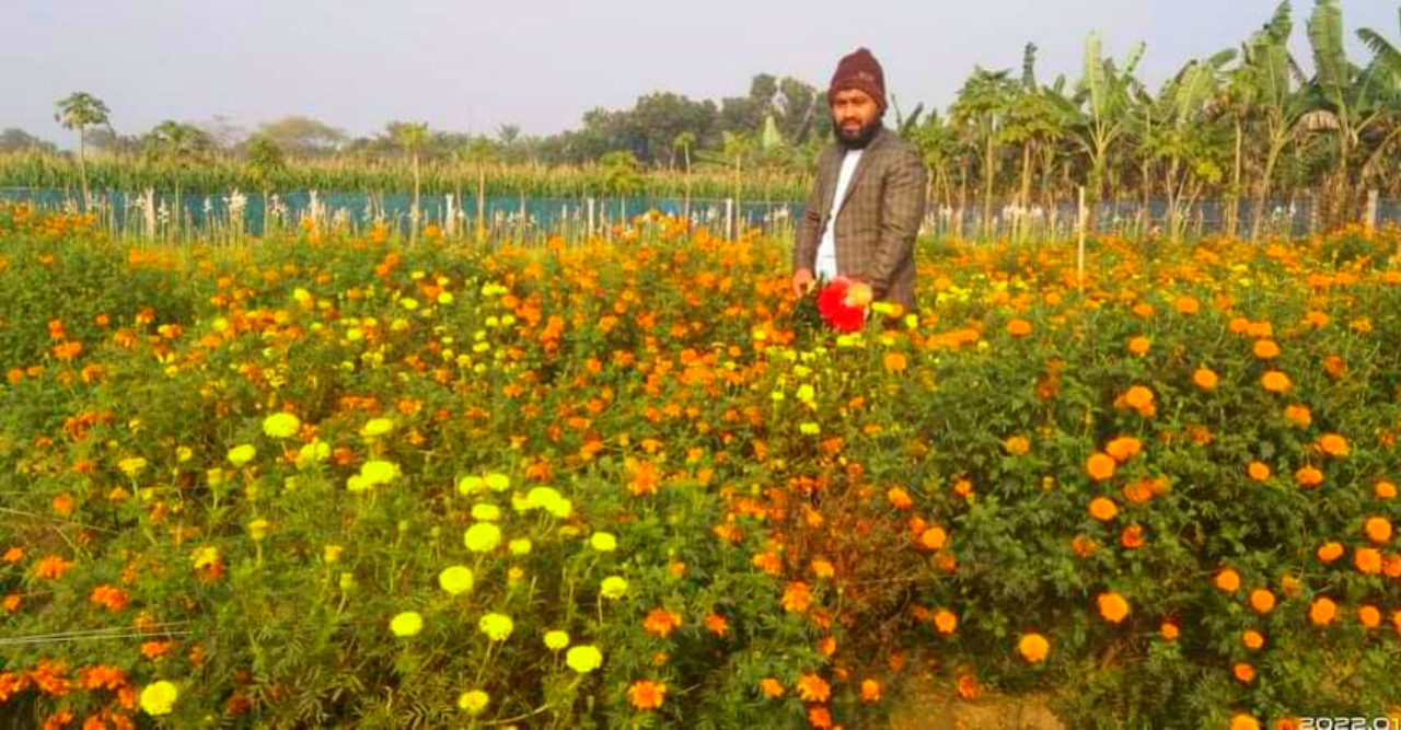 বাতাসে ফুটন্ত ফুলের দোলে, রঙ লেগেছে ফুলচাষি শিশিরের মনে