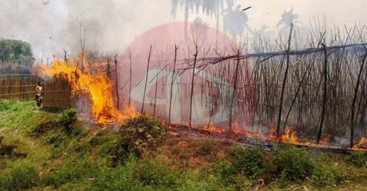 ৮বিঘা জমির পানের বরজ পুড়ে ছাই