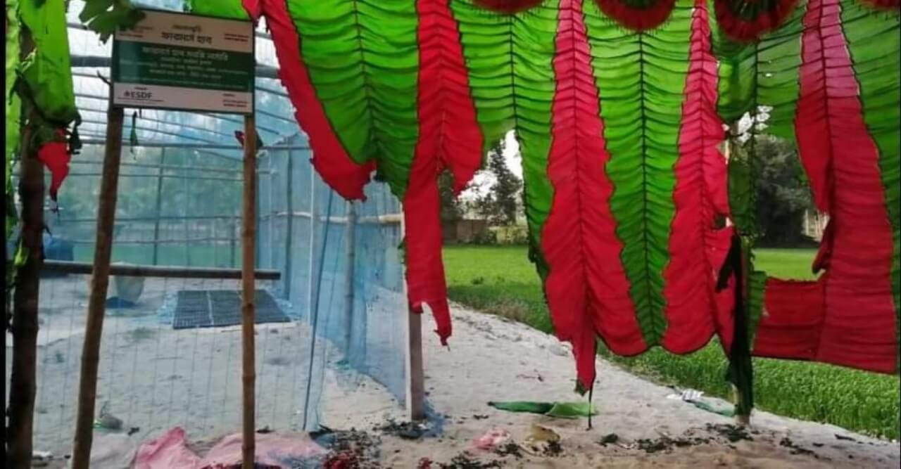 ঠাকুরগাঁওয়ে সেনুয়া ইউনিয়নে নৌকার অফিসে আগুন