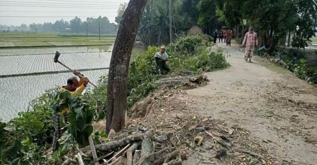 সরিষাবাড়ী উপজেলা প্রকৌশলী অফিসের সুপারভাইজারের বিরুদ্ধে রাস্তার গাছ বিক্রির অভিযোগ