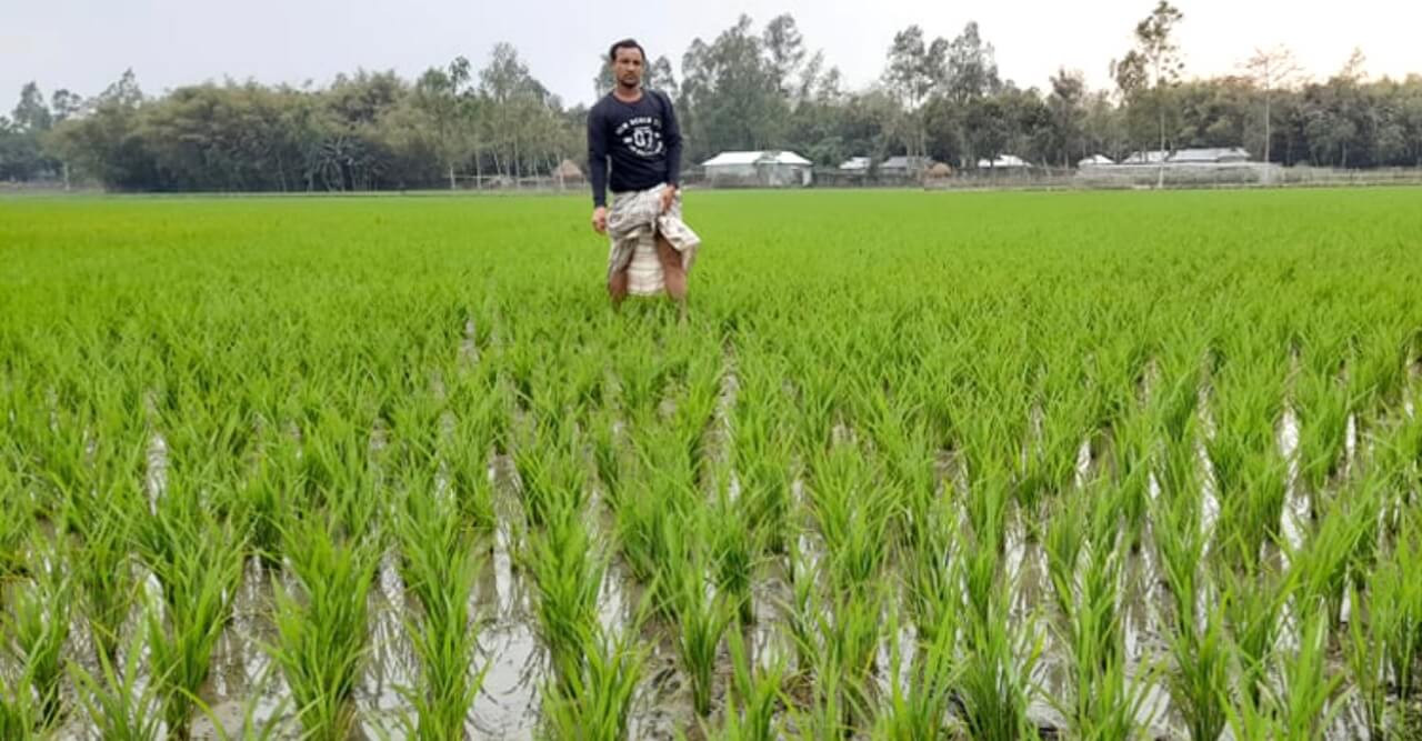 সুন্দরগঞ্জে জমি জবর দখলের অভিযোগ