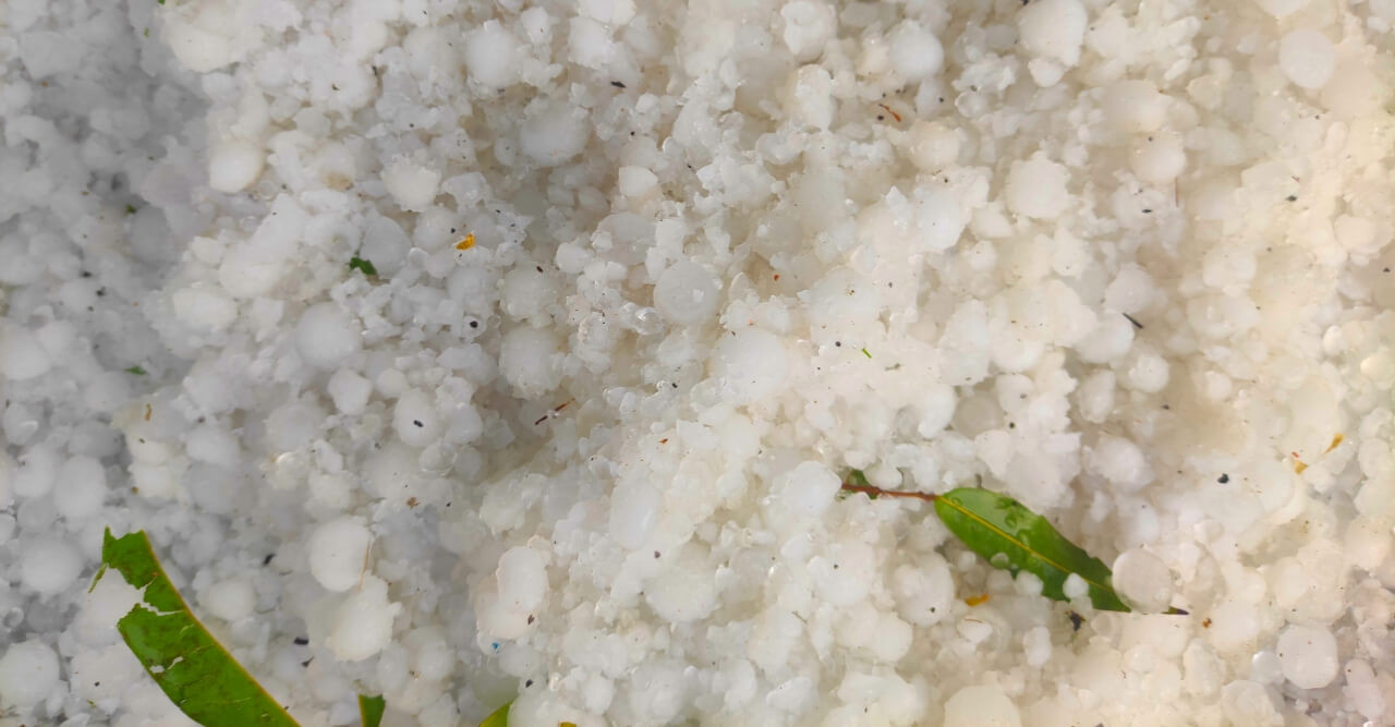 ঠাকুরগাঁওয়ে হটাৎ শিলা বৃষ্টি