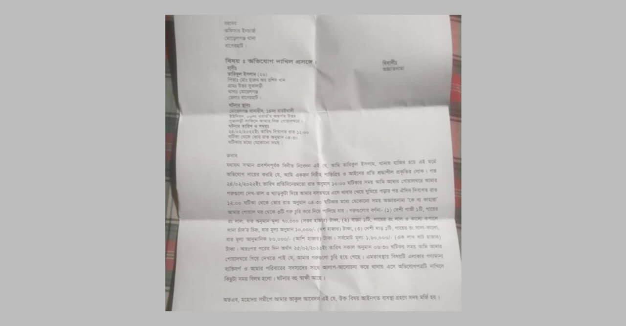 মোরেলগঞ্জে এক রাতে ৩টি গরু  চুরি, দেড় লাখ টাকার ক্ষতি কৃষকের