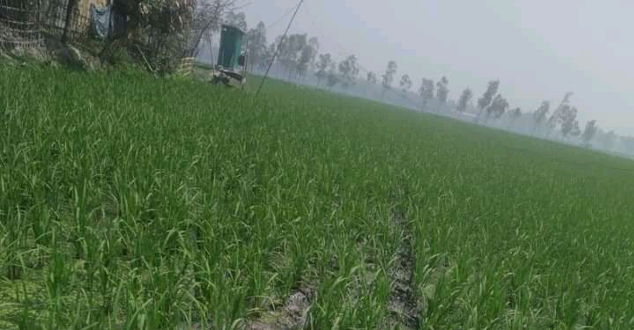 জমি নিয়ে বিরোধের জের তুঙ্গে, থানায় অভিযোগ দায়ের