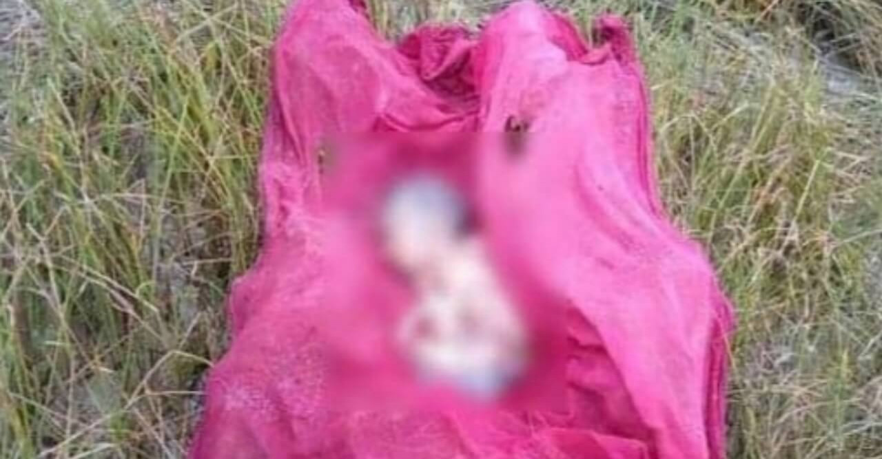 পাথরঘাটায় চর থেকে  মরাদেহো  উদ্ধার