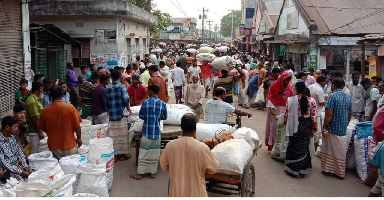 গুরুদাসপুরে রসুনের দাম নিয়ে বিপাকে চাষীরা