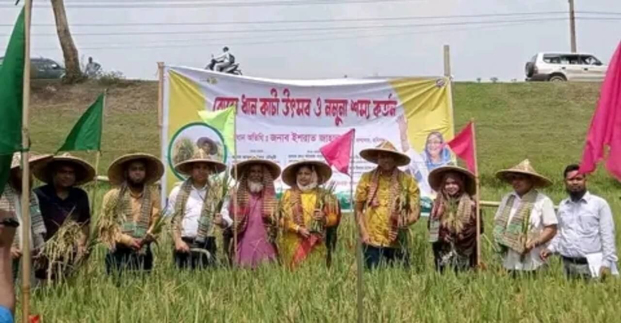 বানিয়াচংয়ে বোরো ধান কাটা উৎসব অনুষ্টিত