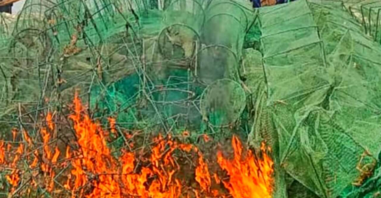 পাথরঘাটায় ৪০টি অবৈধ জাল জব্দ