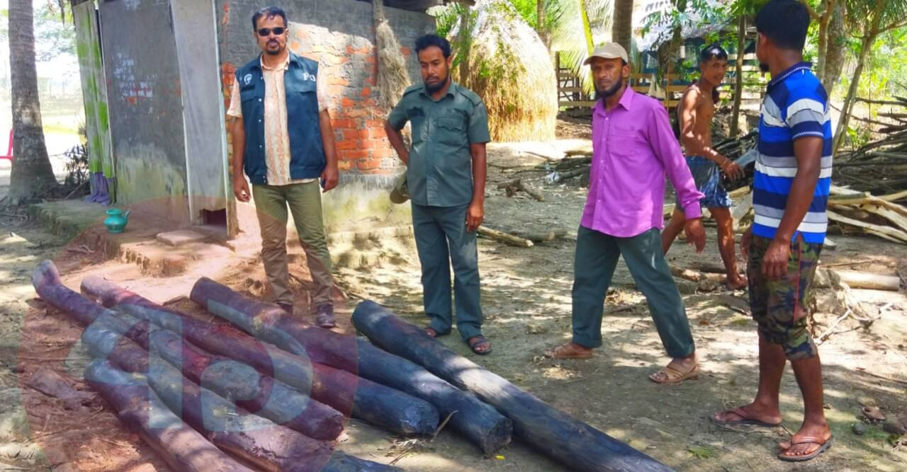 বাগেরহাটে পুকুর থেকে ৭পিচ সুন্দরী কাঠ উদ্ধার