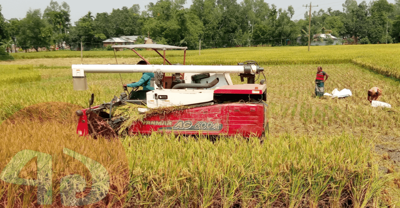 নবান্ন উৎসবে মেতে উঠেছে কৃষক
