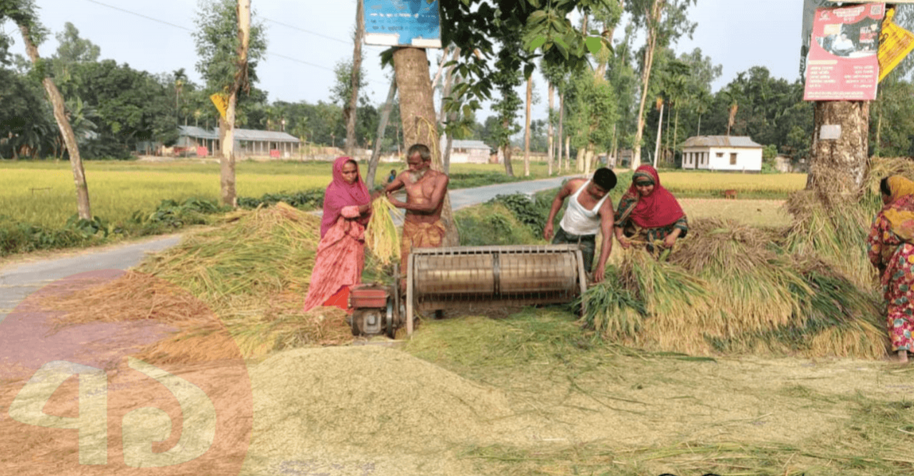 সুন্দরগঞ্জের সড়কগুলো ধান ও খড়ের দখলে
