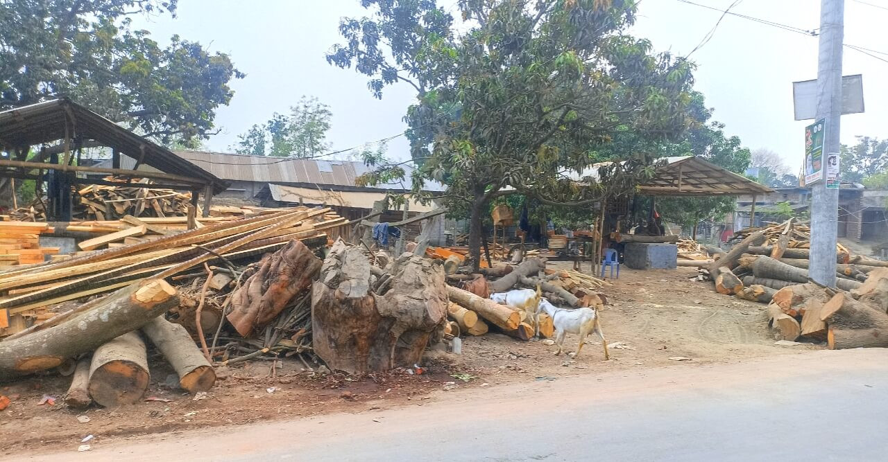 গোমস্তাপুরে অবৈধভাবে চলছে করাতকল