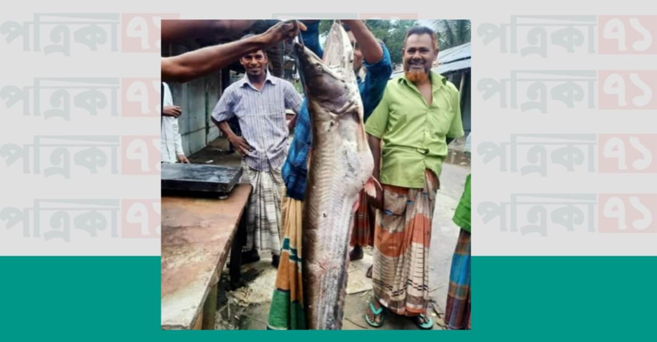 তিস্তায় ১৭ কেজি দেশীয় বোয়াল মাছ আটক