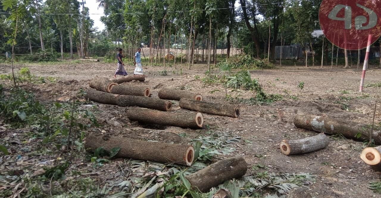 নড়াইলে তিন’শতাধিক গাছ কাটার মামলা নিচ্ছেনা পুলিশ