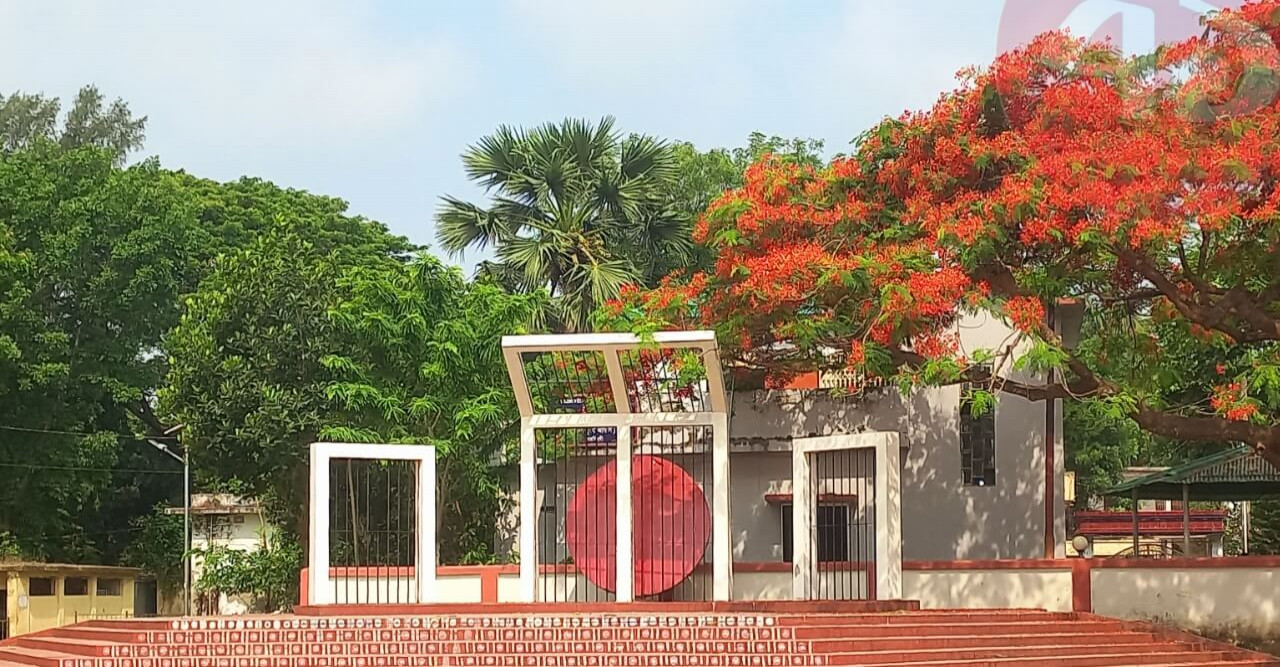 পলাশে সবুজ প্রকৃতি কৃষ্ণচূড়ার রঙে সেজেছে