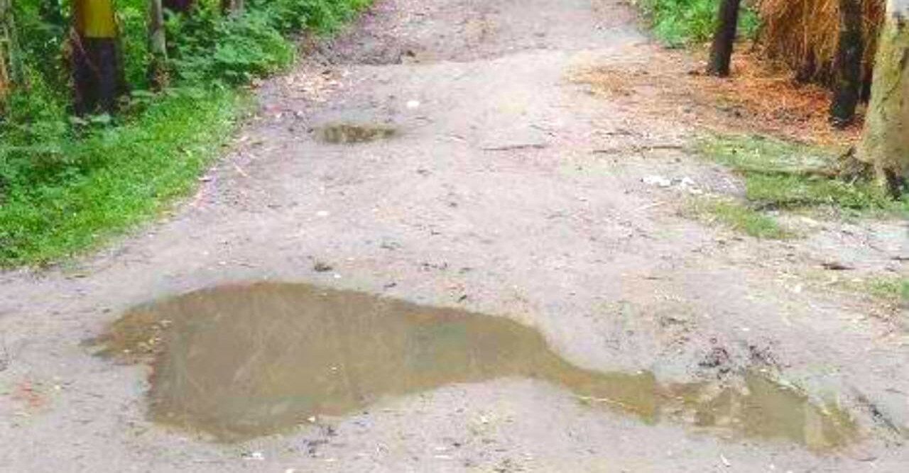 ডাউয়াবাড়ীতে রাস্তার বেহাল দশা হাজার হাজার মানুষ ভোগান্তিতে