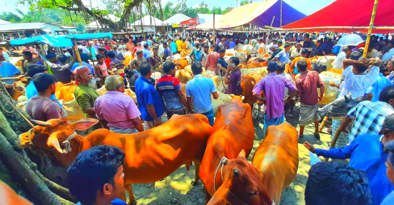 ডোমারের বসুনিয়া হাটে অতিরিক্ত টোল আদায়ের অভিযোগ