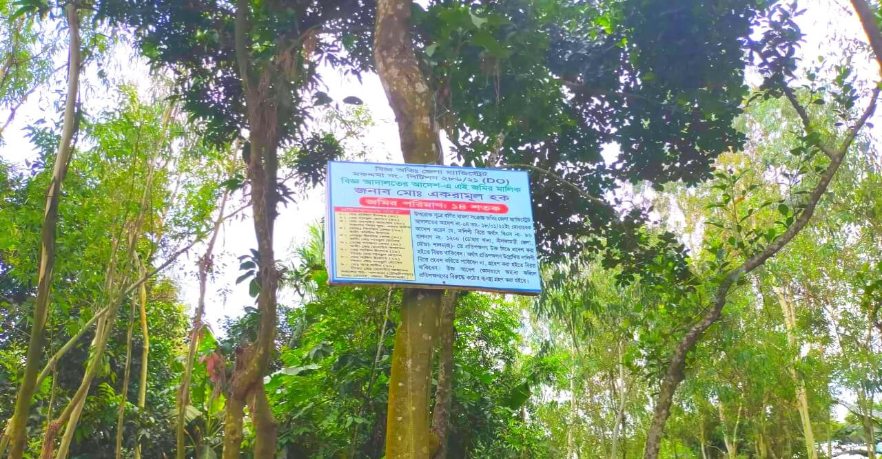 ছোট ভাইদের জমি বড় ভাইয়ের দখলে