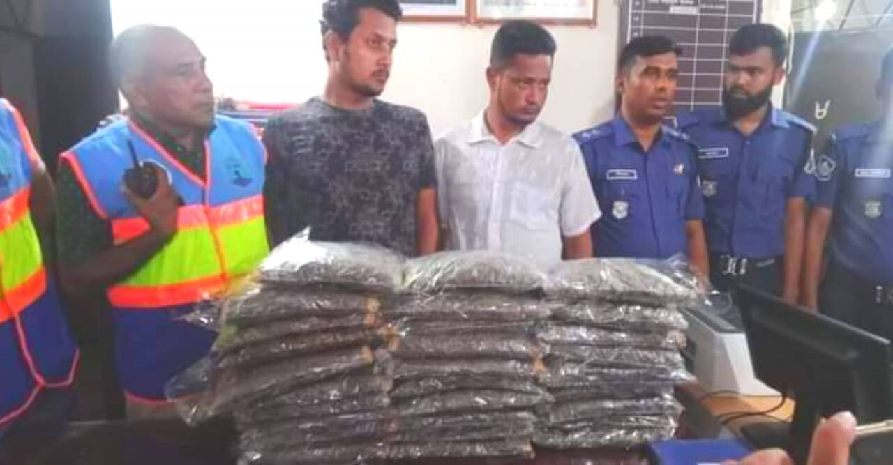 সাড়ে ১৩ কেজি গাজাসহ গ্রেফতার ২