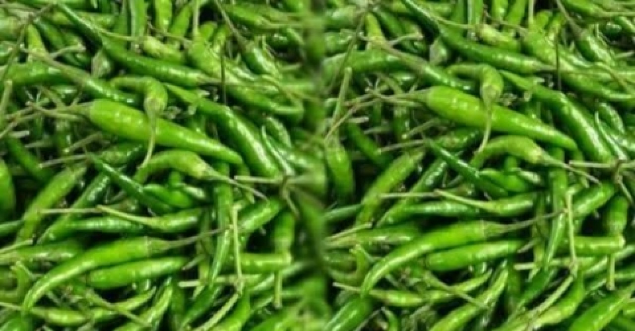 রাণীশংকৈলে কাঁচা মরিচের কেজি ২০০