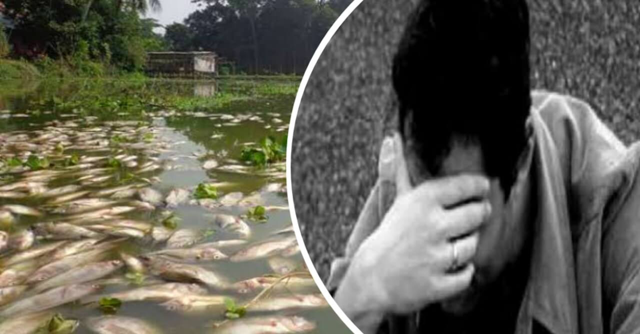 ঘেরে বিষ দিয়ে দুই লাখ টাকার ক্ষতি