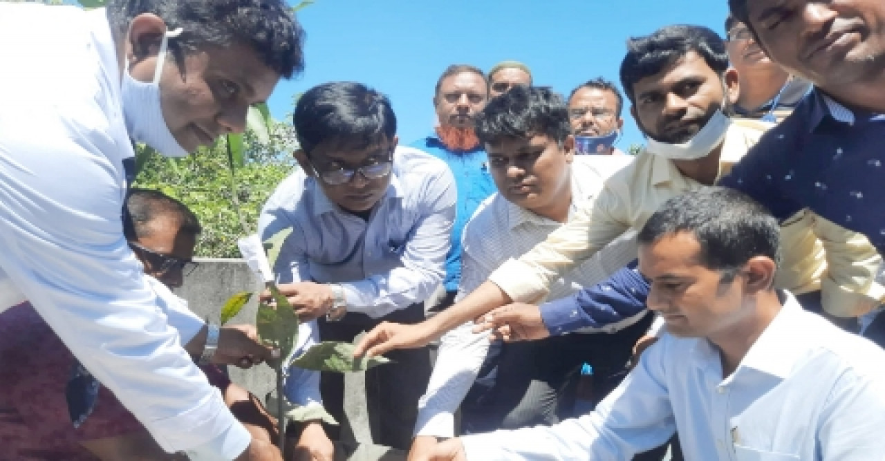 সুন্দরগঞ্জে ছাদ বাগান উদ্বোধনে জেলা প্রশাসক