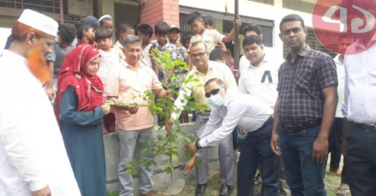 লজিইডি'র উদ্যােগে মাস ব্যাপী বৃক্ষ রোপন কর্মসূচি