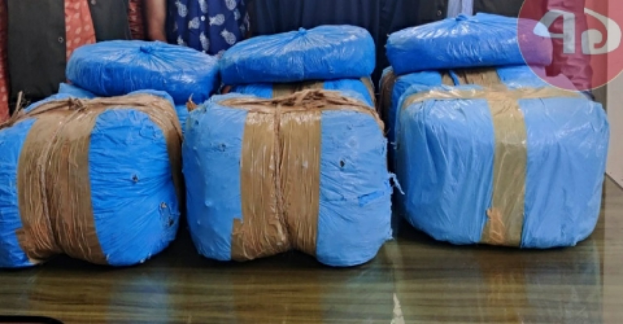 ২৪ কেজি গাঁজাসহ গ্রেফতার দুই