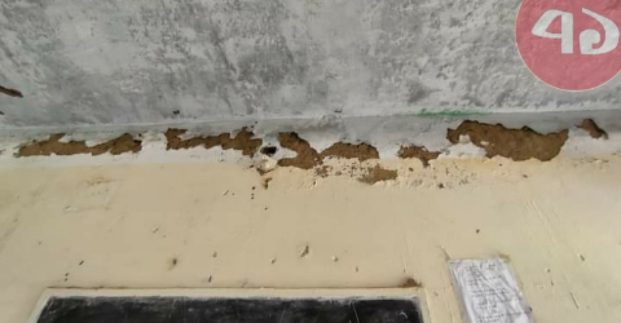 বৃষ্টি হলেই ভিজে যাচ্ছে শিক্ষার্থীর পাঠ্যপুস্তক