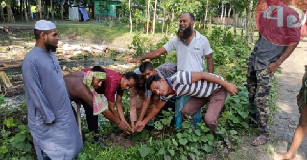 বজ্রপাত প্রতিরোধে নড়াইলে তালের বীজ বিতরণ