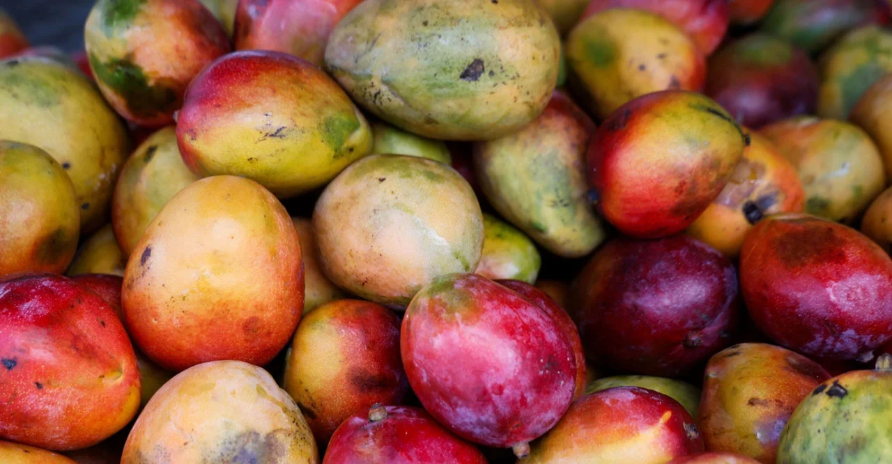 প্রায় সাত কোটি টাকার ভারতীয় আমের চালান ফিরিয়ে দিলো যুক্তরাষ্ট্র