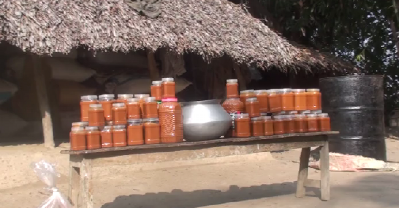 কলাপাড়ায় বানিজ্যিক রুপ পাচ্ছে গোলপাতার গুড়