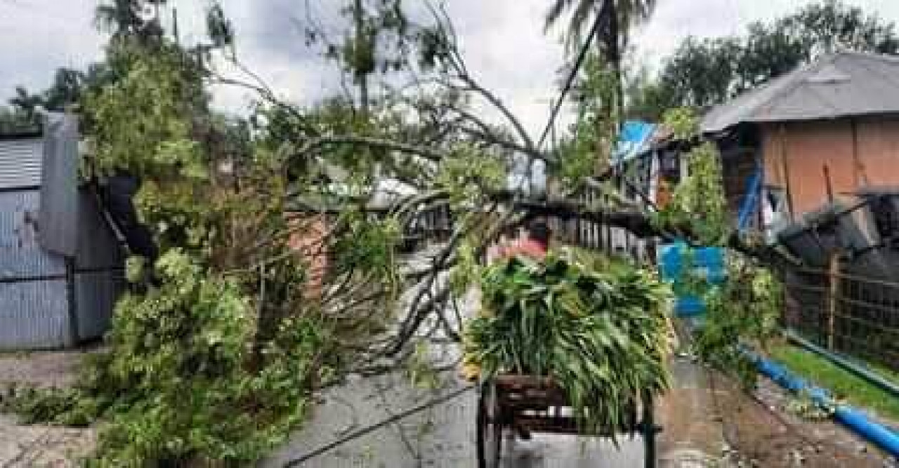 চিলাহাটিতে ঘূর্ণিঝড়ে ঘর-বাড়ি, গাছ-পালা বিধ্বস্ত ও ফসলের ব্যপক ক্ষয়ক্ষতি হয়েছে