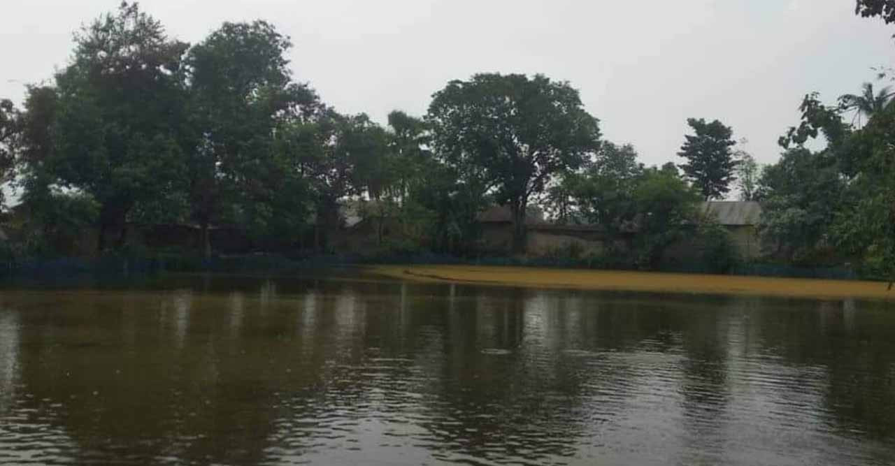 শেরপুরে রাতের আধারে পুকুর থেকে মাছ চুরি , থানায় অভিযোগ