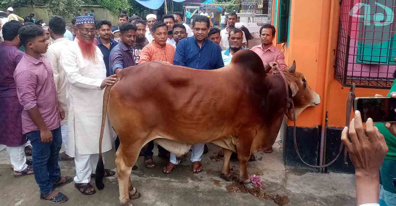১৪ বছর ধরে বঙ্গবন্ধু-প্রধানমন্ত্রীর নামে গরু কোরবানি দিচ্ছেন তিনি